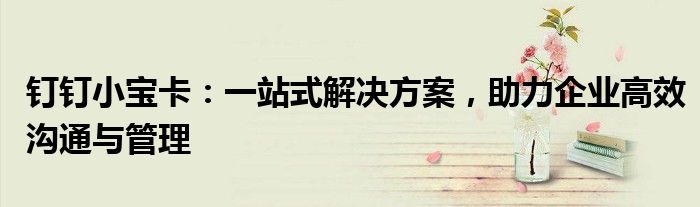 钉钉小宝卡：一站式解决方案，助力企业高效沟通与管理