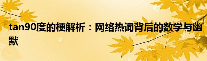 tan90度的梗解析：网络热词背后的数学与幽默