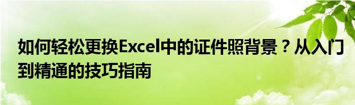 如何轻松更换Excel中的证件照背景？从入门到精通的技巧指南