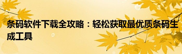 条码软件下载全攻略：轻松获取最优质条码生成工具