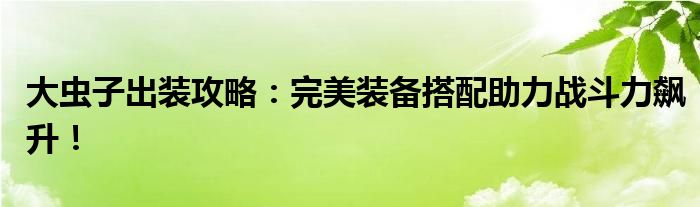 大虫子出装攻略：完美装备搭配助力战斗力飙升！