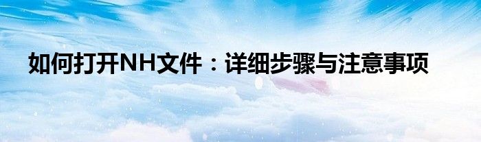 如何打开NH文件：详细步骤与注意事项