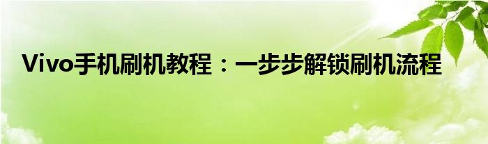 Vivo手机刷机教程：一步步解锁刷机流程