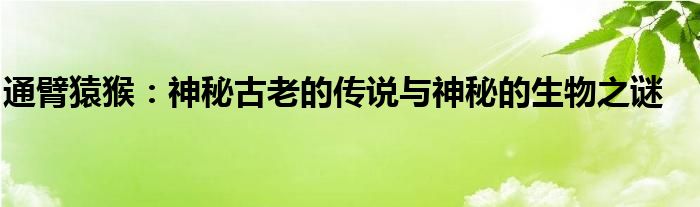 通臂猿猴：神秘古老的传说与神秘的生物之谜