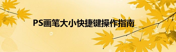 PS画笔大小快捷键操作指南