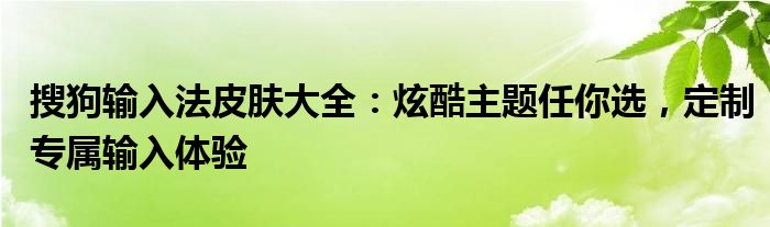 搜狗输入法皮肤大全：炫酷主题任你选，定制专属输入体验