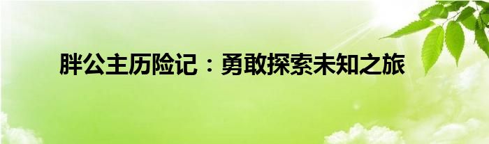 胖公主历险记：勇敢探索未知之旅