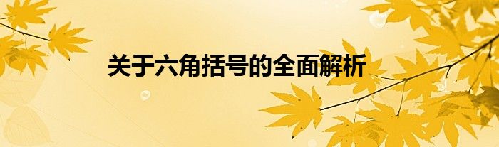 关于六角括号的全面解析