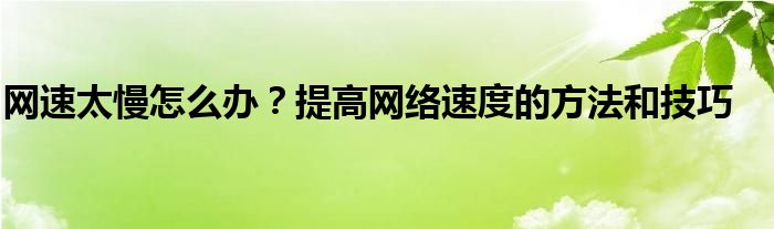 网速太慢怎么办？提高网络速度的方法和技巧