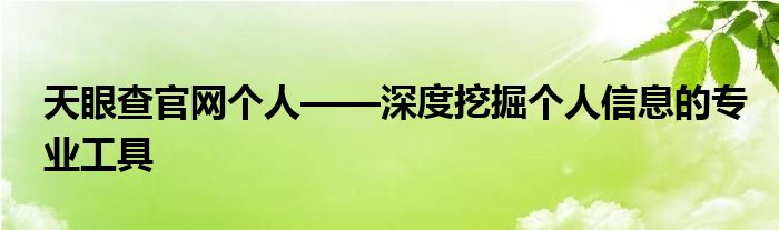 天眼查官网个人——深度挖掘个人信息的专业工具