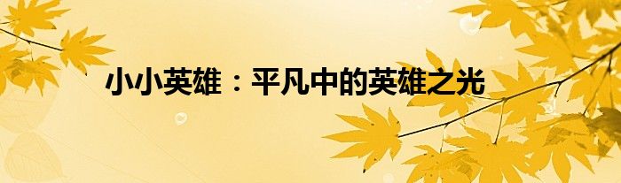 小小英雄：平凡中的英雄之光