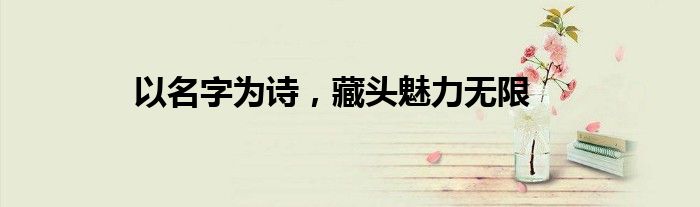 以名字为诗，藏头魅力无限