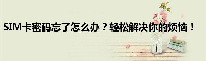 SIM卡密码忘了怎么办？轻松解决你的烦恼！