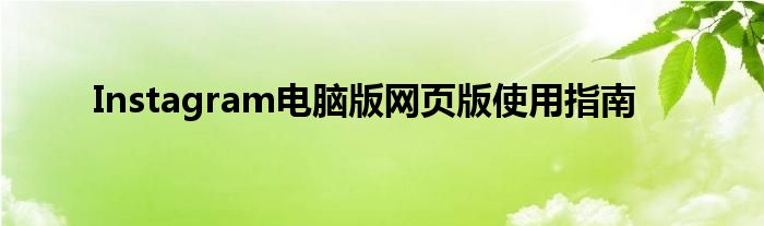 Instagram电脑版网页版使用指南