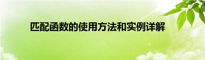 匹配函数的使用方法和实例详解