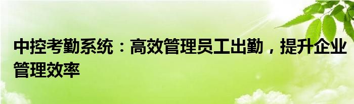 中控考勤系统：高效管理员工出勤，提升企业管理效率