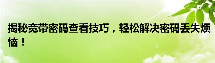 揭秘宽带密码查看技巧，轻松解决密码丢失烦恼！