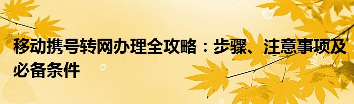 移动携号转网办理全攻略：步骤、注意事项及必备条件