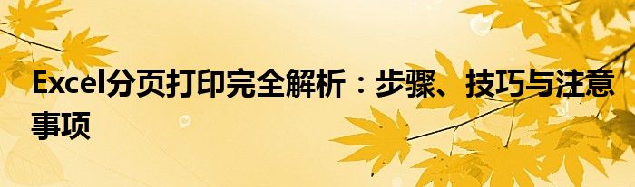 Excel分页打印完全解析：步骤、技巧与注意事项