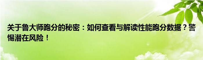 关于鲁大师跑分的秘密：如何查看与解读性能跑分数据？警惕潜在风险！