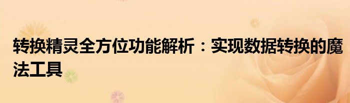 转换精灵全方位功能解析：实现数据转换的魔法工具