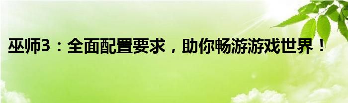 巫师3：全面配置要求，助你畅游游戏世界！