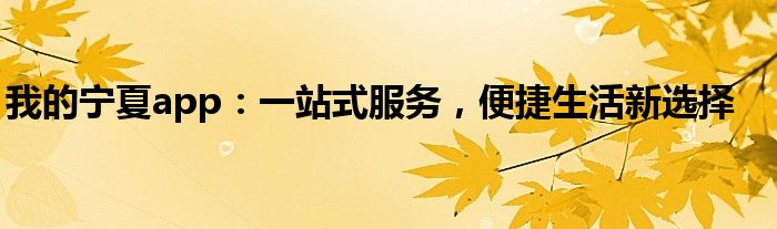我的宁夏app：一站式服务，便捷生活新选择
