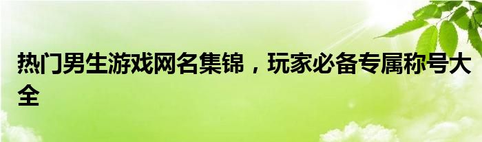热门男生游戏网名集锦，玩家必备专属称号大全