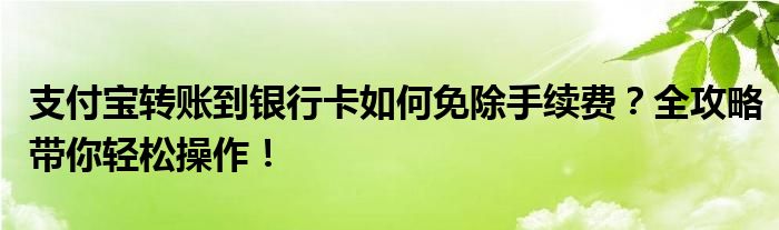 支付宝转账到银行卡如何免除手续费？全攻略带你轻松操作！