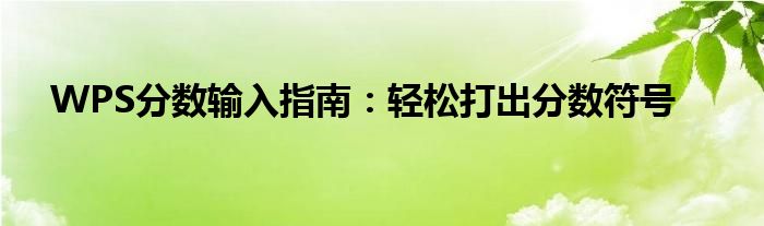 WPS分数输入指南：轻松打出分数符号
