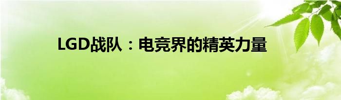 LGD战队：电竞界的精英力量
