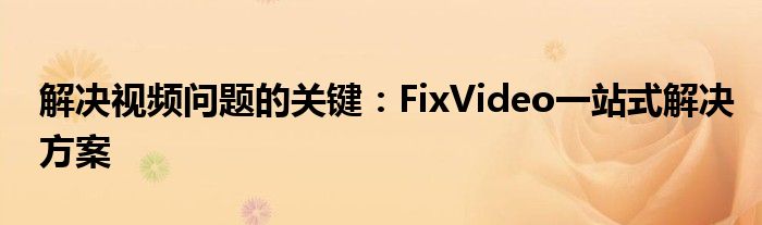 解决视频问题的关键：FixVideo一站式解决方案
