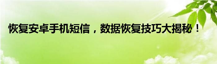 恢复安卓手机短信，数据恢复技巧大揭秘！