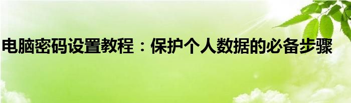 电脑密码设置教程：保护个人数据的必备步骤