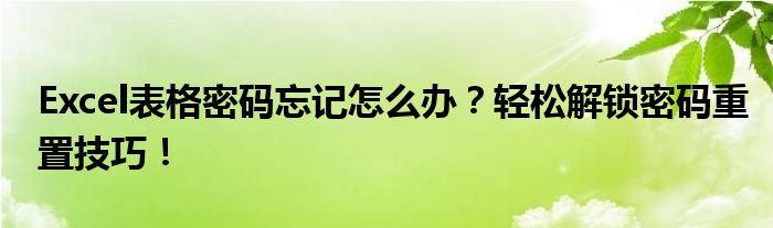 Excel表格密码忘记怎么办？轻松解锁密码重置技巧！