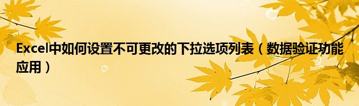 Excel中如何设置不可更改的下拉选项列表（数据验证功能应用）