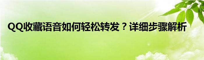 QQ收藏语音如何轻松转发？详细步骤解析