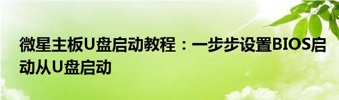 微星主板U盘启动教程：一步步设置BIOS启动从U盘启动