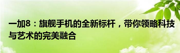 一加8：旗舰手机的全新标杆，带你领略科技与艺术的完美融合