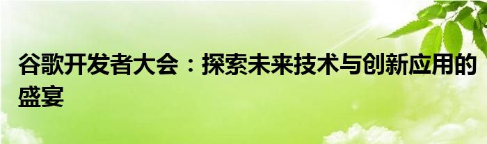 谷歌开发者大会：探索未来技术与创新应用的盛宴