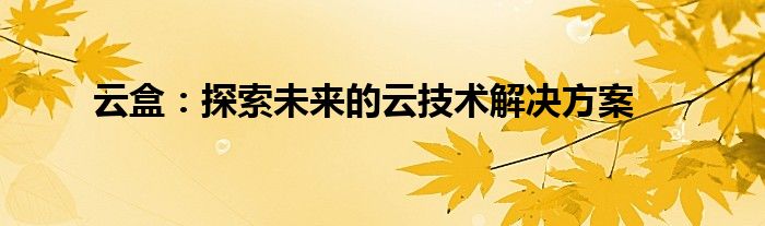 云盒：探索未来的云技术解决方案