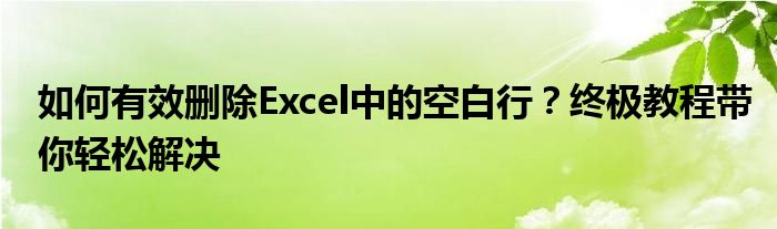 如何有效删除Excel中的空白行？终极教程带你轻松解决