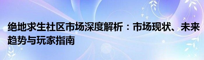 绝地求生社区市场深度解析：市场现状、未来趋势与玩家指南