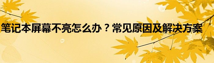 笔记本屏幕不亮怎么办？常见原因及解决方案