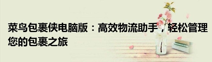 菜鸟包裹侠电脑版：高效物流助手，轻松管理您的包裹之旅