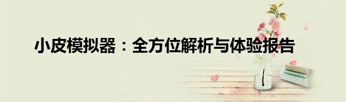 小皮模拟器：全方位解析与体验报告