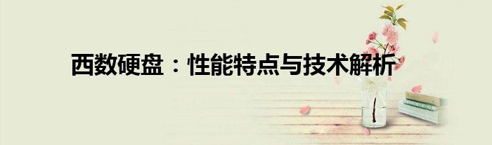 西数硬盘：性能特点与技术解析