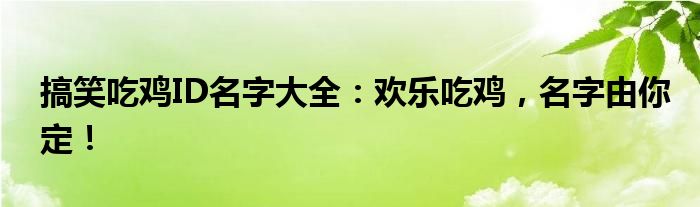 搞笑吃鸡ID名字大全：欢乐吃鸡，名字由你定！