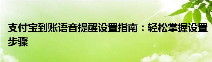支付宝到账语音提醒设置指南：轻松掌握设置步骤