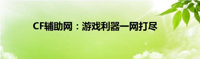 CF辅助网：游戏利器一网打尽